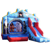 fashion inflatable bouncer